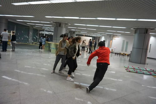 新西蘭風(fēng)情文化集市 跨越山海，邀您共赴一場(chǎng)藝術(shù)盛宴